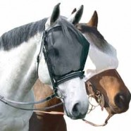 Fly Masks