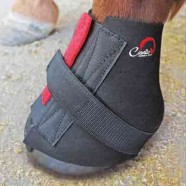 Pastern Wraps [pair]