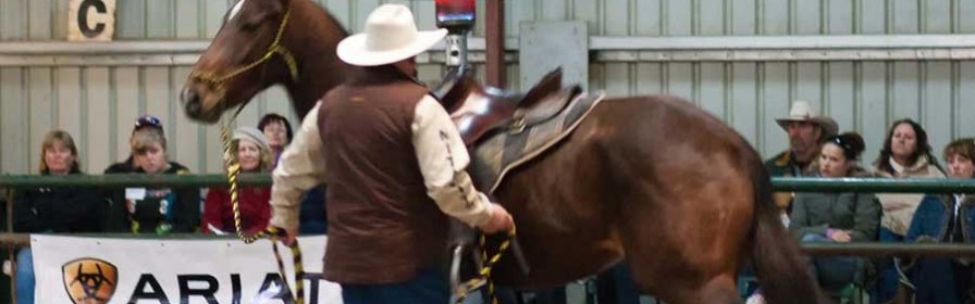 Ian Francis horsemanship clinics coming to SA